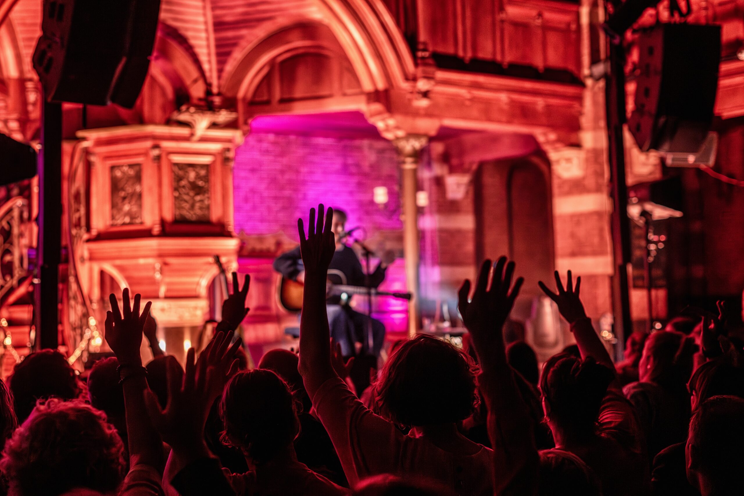 Publiek met opgeheven handen in rood en paars licht tijdens het optreden in Arminius