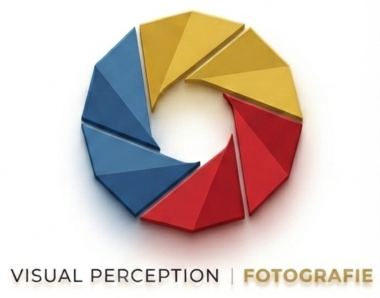 Visual Perception